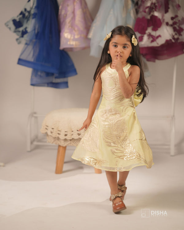 open lace back dress Turkish Organza Salwar TSS4839 – Teresa Designers main image 0