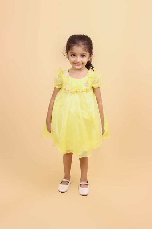 Yellow Dress With Floral Embroidery on Neckline and Bodice