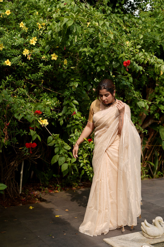 Tissue line Gold Saree